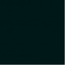 P1050 Midnight Obsidian