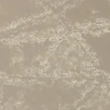 White Ice EQPM 023