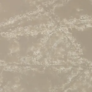White Ice EQPM 023