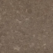 Caesarstone Wild Rice