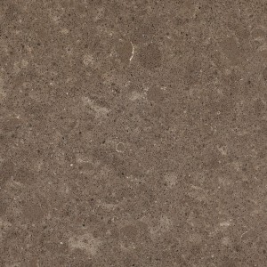 Caesarstone Wild Rice