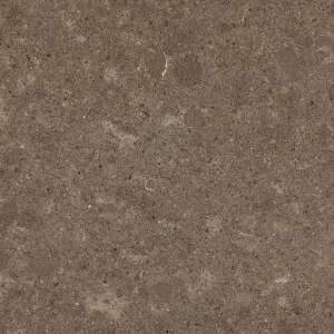 Caesarstone Wild Rice