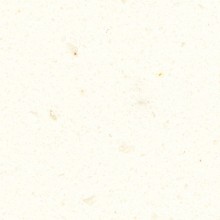 Corian White Jasmine
