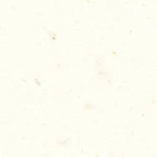 Corian White Jasmine