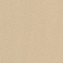 GetaCore GCS 356 Star Champagne