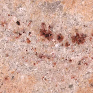 Айвори Браун