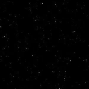 HI-MACS P004 Perna Black