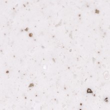 Hanex T-068 Rice Cookie