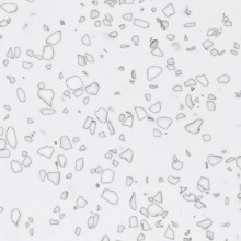 Staron QD212 Mosaic Dalmatian