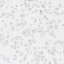 Staron QD212 Mosaic Dalmatian