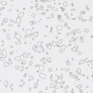 Staron QD212 Mosaic Dalmatian