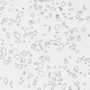 Staron QD212 Mosaic Dalmatian