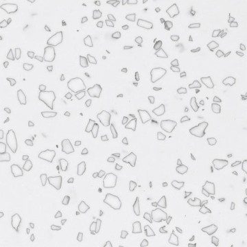 Staron QD212 Mosaic Dalmatian