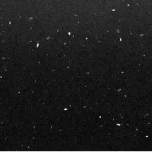 Technistone Starlight Black