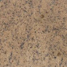 Vicostone Oyster