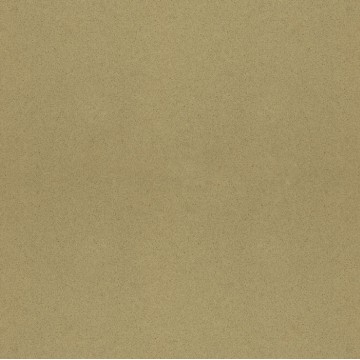 Vicostone Camellia BS-4010