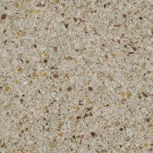 Staron Tempest FS157 Shallot