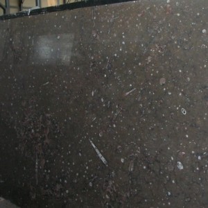 Фоссил Браун