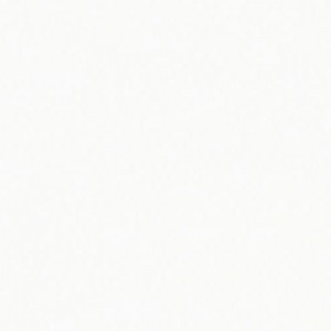 HI-MACS S006 Arctic White