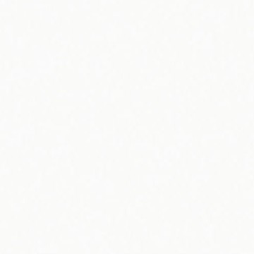 HI-MACS S006 Arctic White