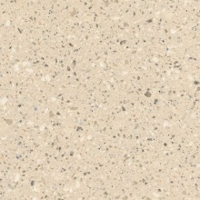 Corian Fossil