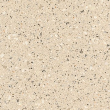 Corian Fossil