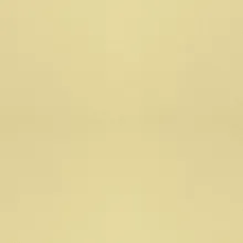  Vicostone Beige Pearl