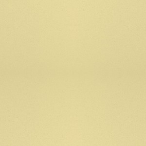  Vicostone Beige Pearl