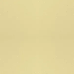  Vicostone Beige Pearl