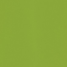 Silestone Green Fun