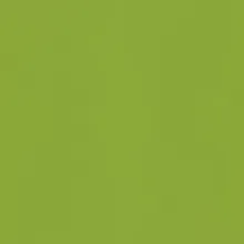 Silestone Green Fun