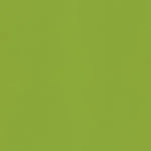 Silestone Green Fun