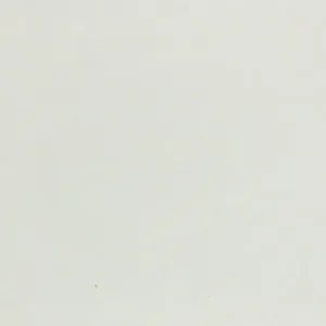 Staron SC010 Celadon