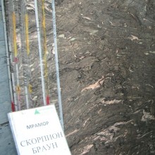 Скорпион Браун