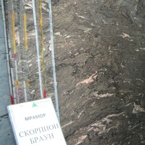 Скорпион Браун