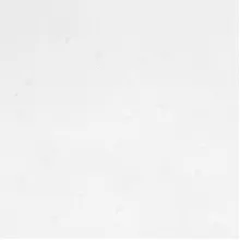 Tristone ST-113 White Limestone
