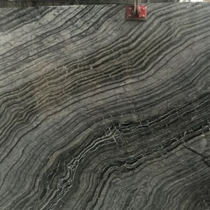 Сильва Вэйв