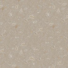 Corian Seashell