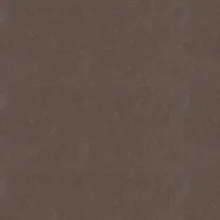 Caesarstone Mink
