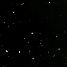 Staron EC596 Metallic Cosmos