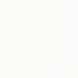 Corian Sparkling White