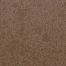 Samsung Radianz Acadia Brown