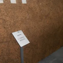 Самма Браун