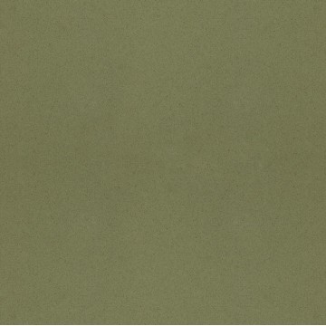 Vicostone Cascara BS-181