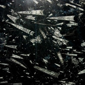 Фоссил Блэк