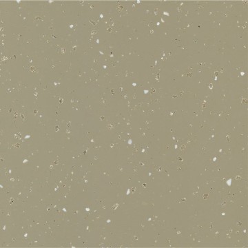 GetaCore GC 5665 Miracle Camouflage