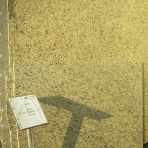 Нью Венишин Голд