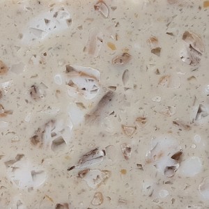 Tristone MT-008 Leaf Fossil