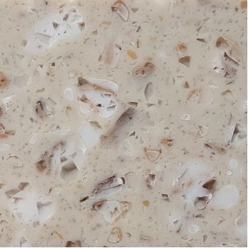 Tristone MT-008 Leaf Fossil