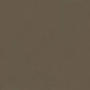 Silestone Unsui